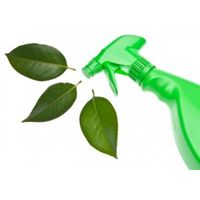 Развитие «Зеленого клининга» зависит от потребителей клининговых услуг