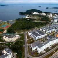 «ОМС» за 5.4 миллиардов будет 2.5 года обслуживать кампус ДВФУ на острове Русский